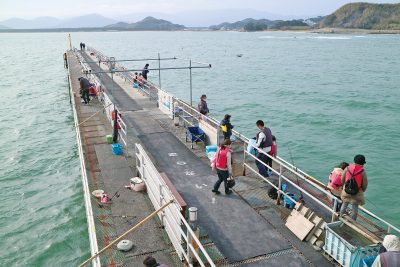 福岡市海釣公園の画像