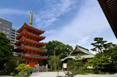 Tochoji Templeの画像