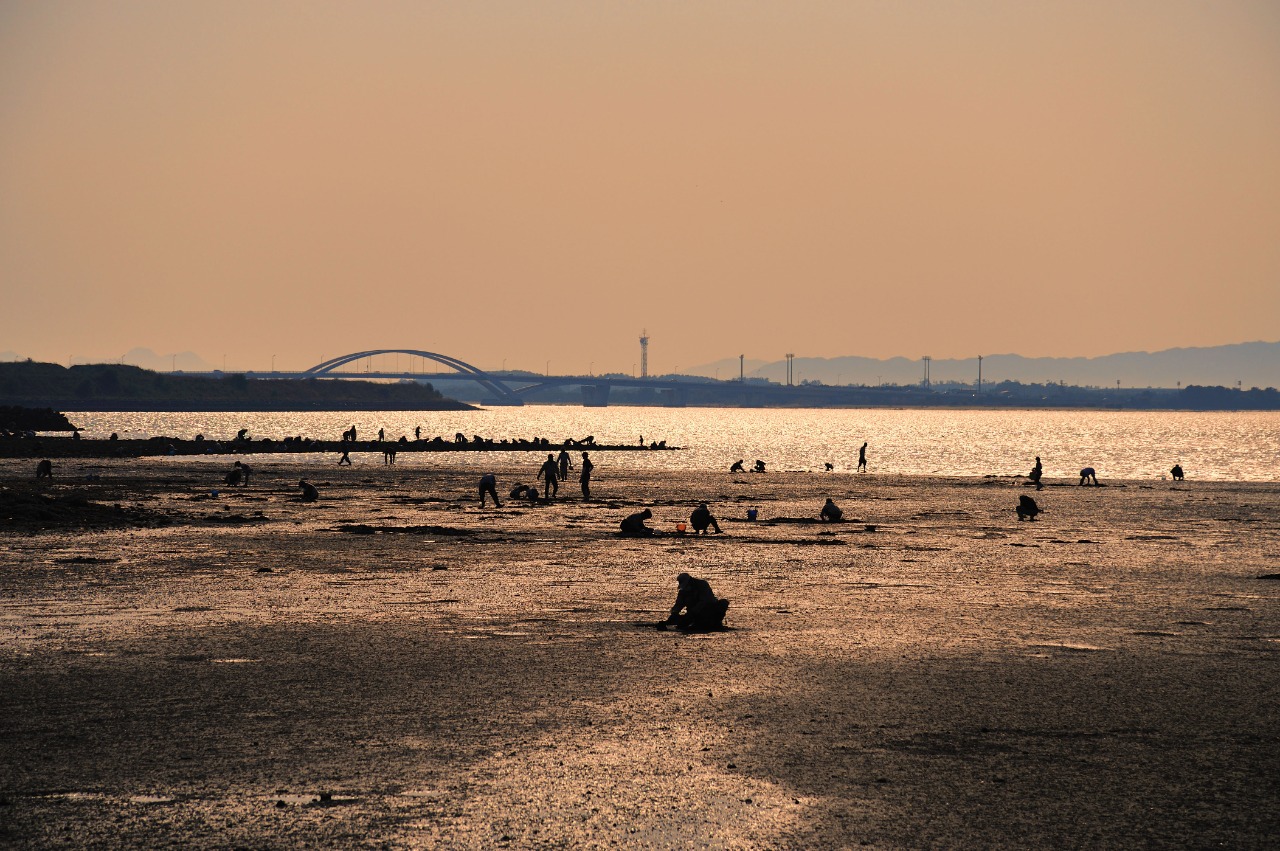 Wajiro Tidal Flat