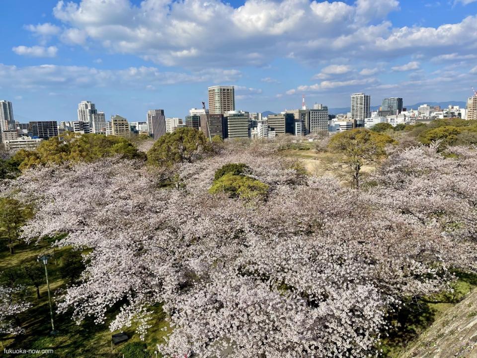 Fukuoka Castle Ruins