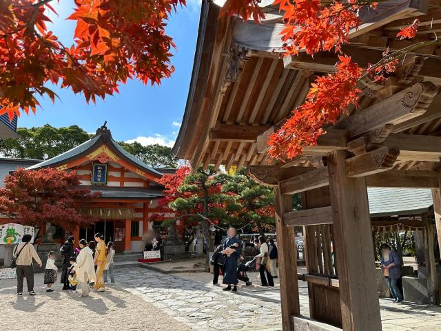 momiji hachimangu shrine