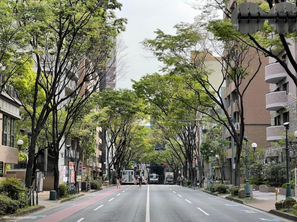 Keyaki-dori
