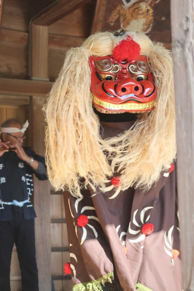 the Lion Dance