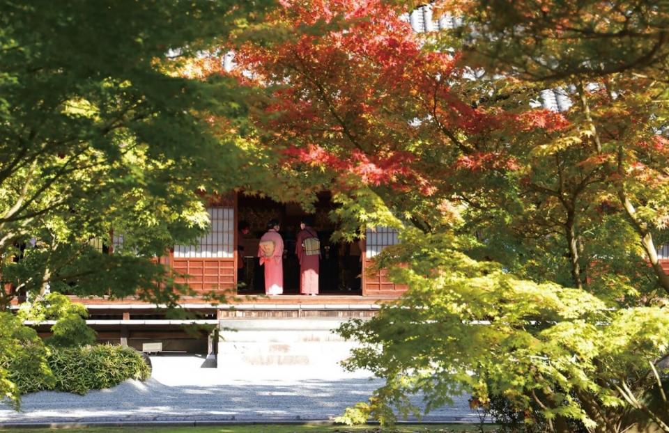 akihaku hakataori exhibition