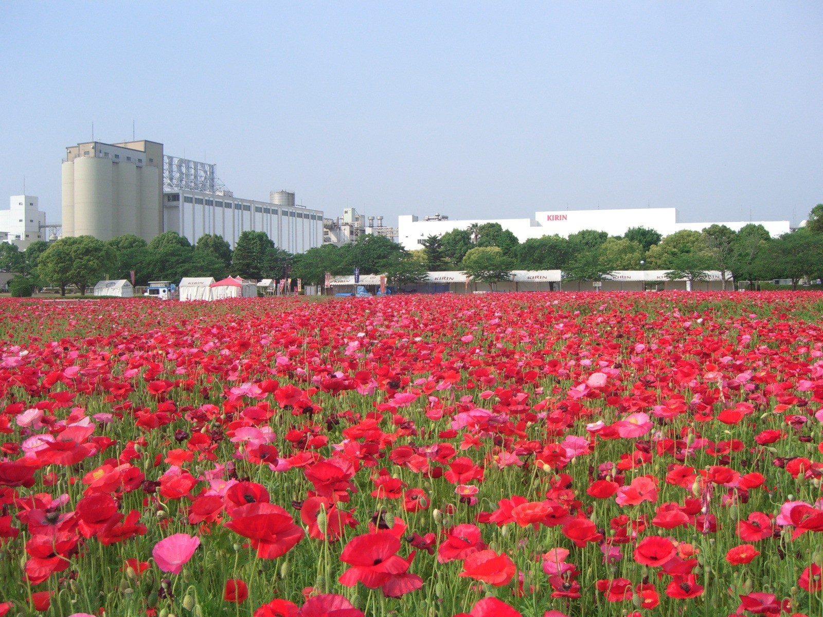 福岡麒麟啤酒公園