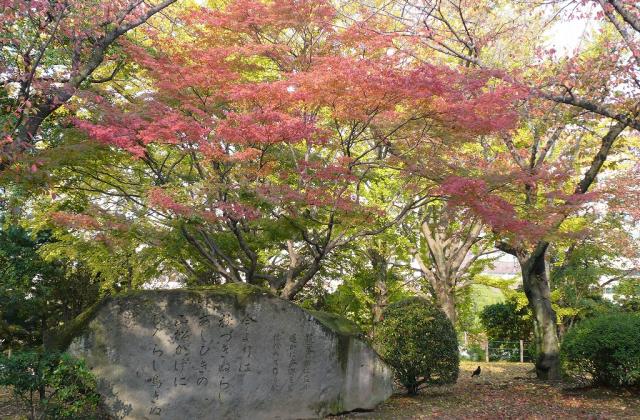 舞鶴公園