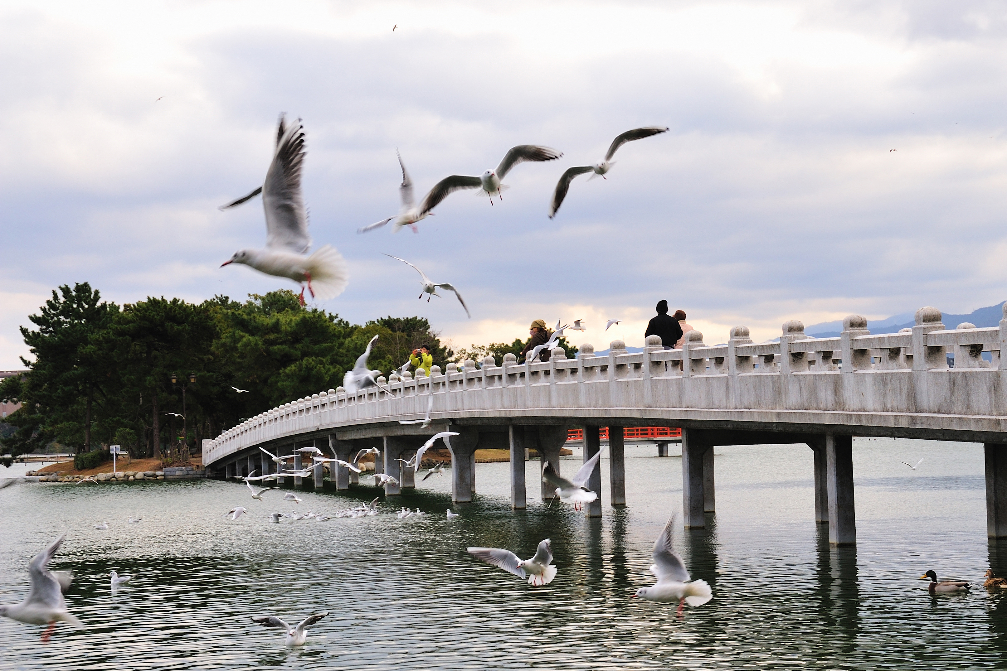 大濠公園