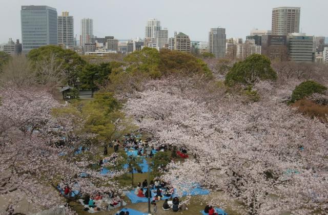 Maizuru Park