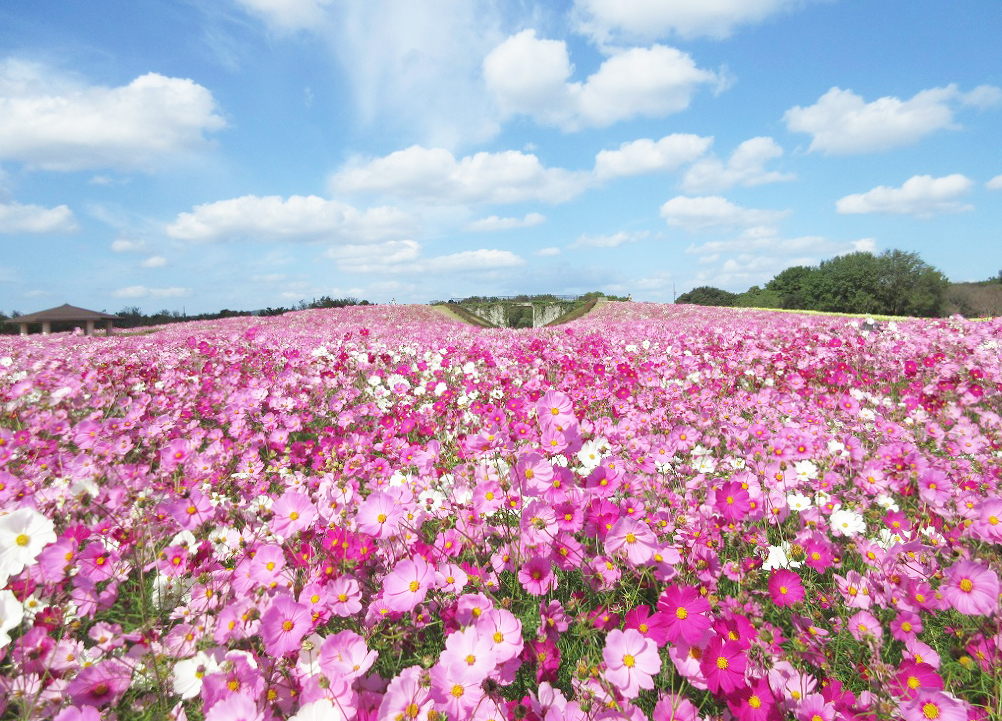 海之中道海濱公園