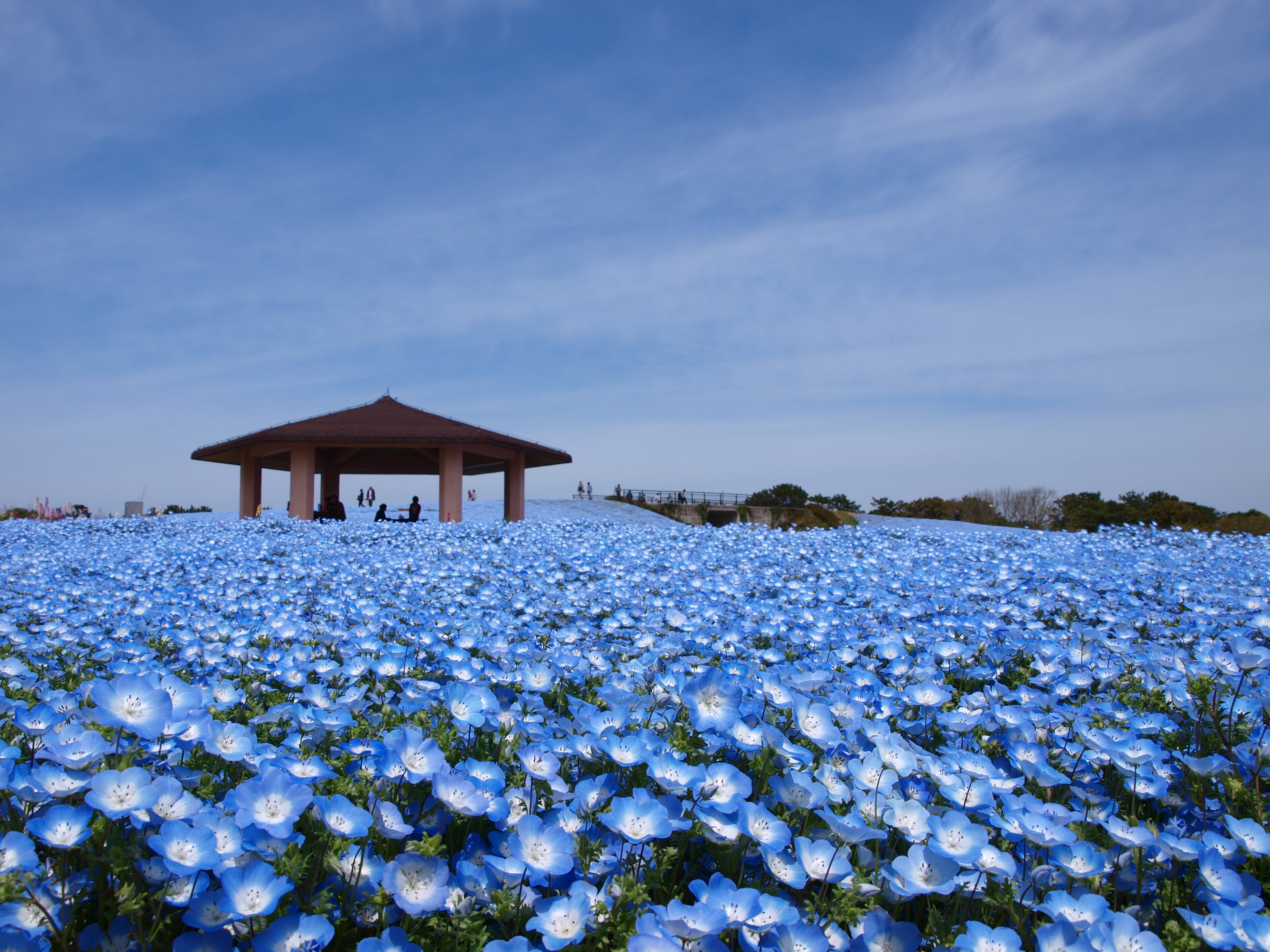 海之中道海濱公園