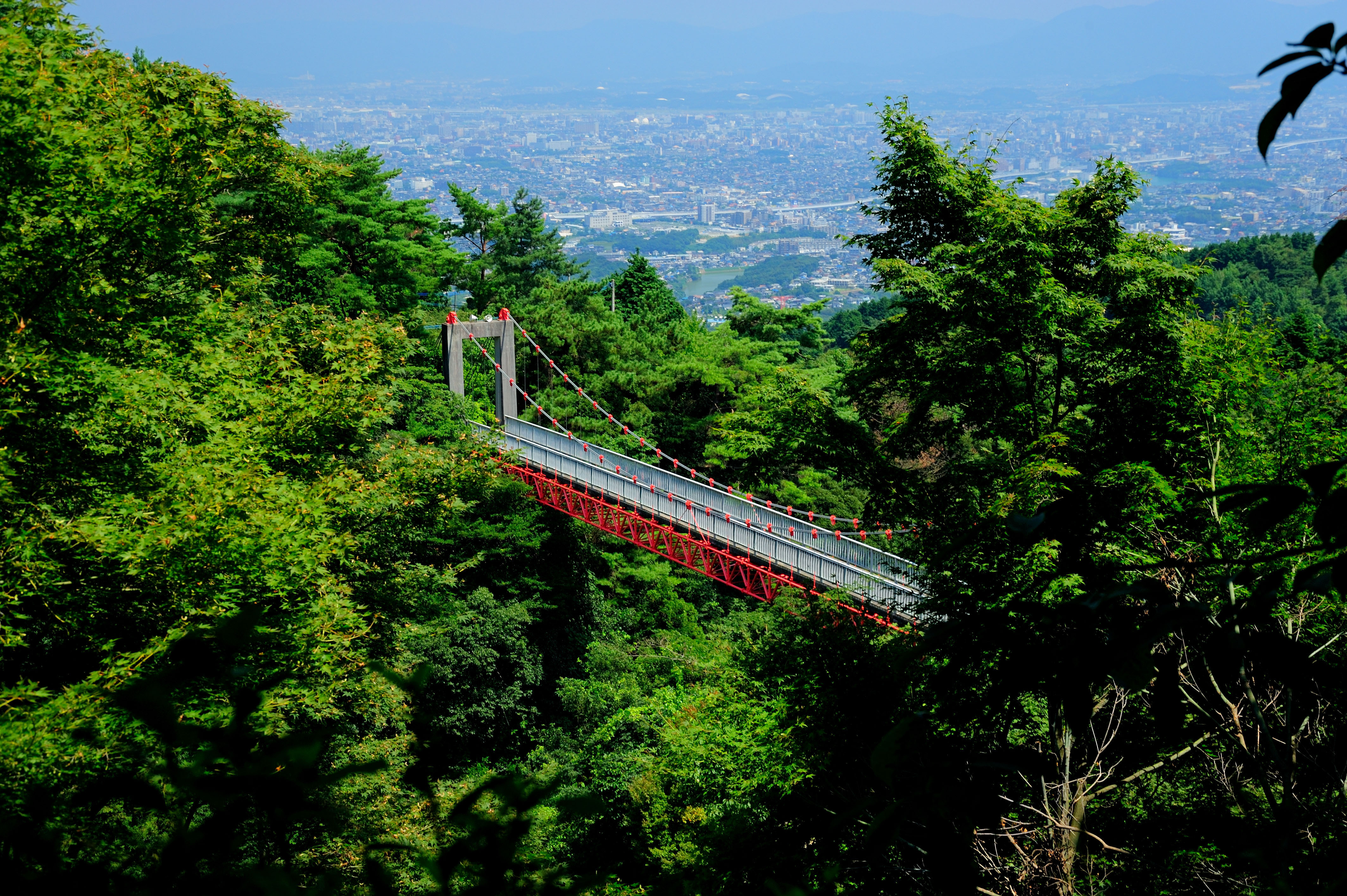 Abura-yama Shimin-no-Mori / Nature Observation Woods