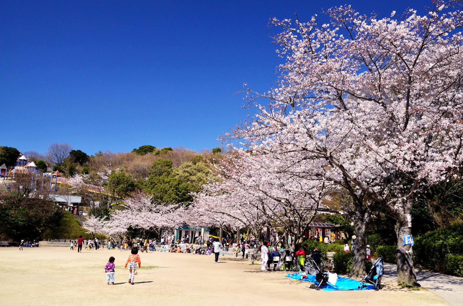 東平尾公園（博多之森