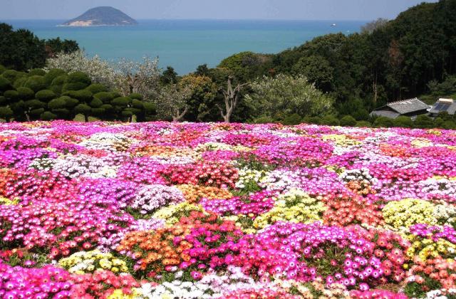 Nokonoshima Island