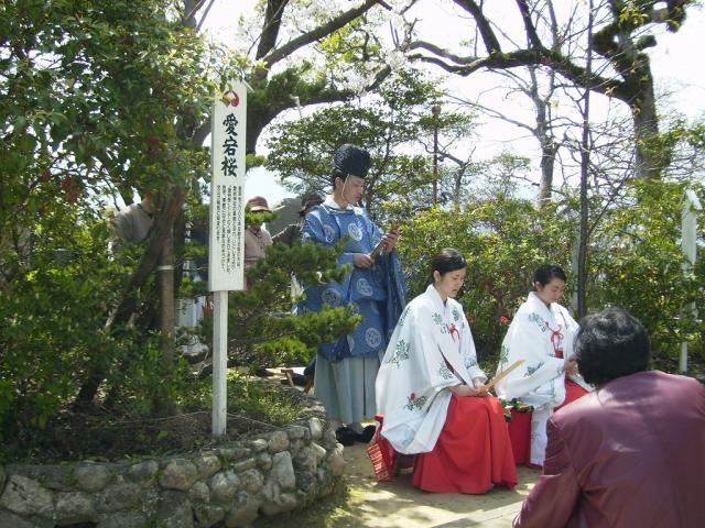 A traditional poetry reading party in cherry blossoms