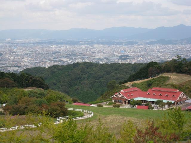 전망대에서 본 경치