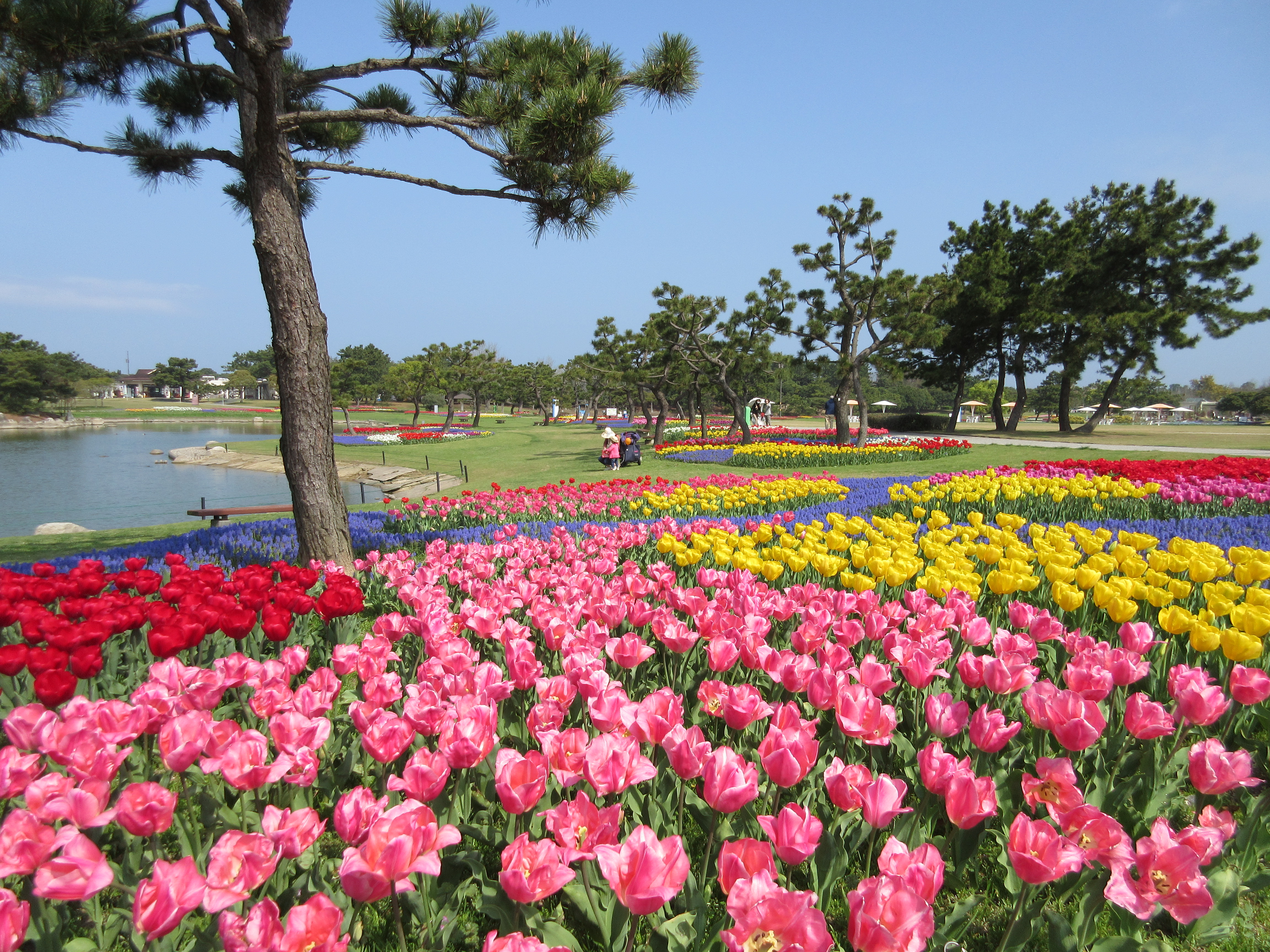 Uminonakamichi Seaside Park