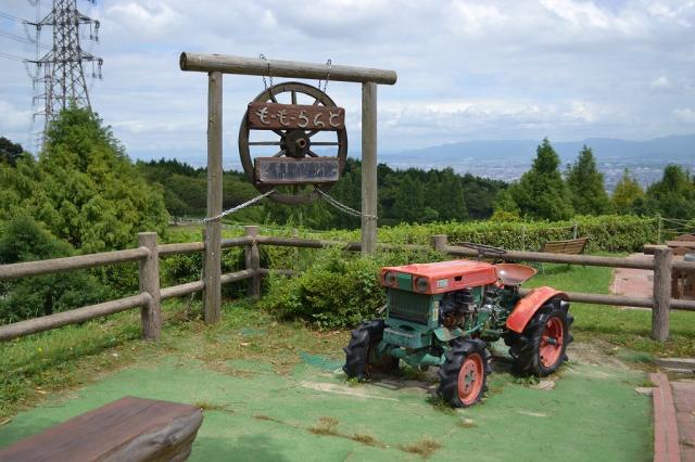 哞哞乐园油山牧场