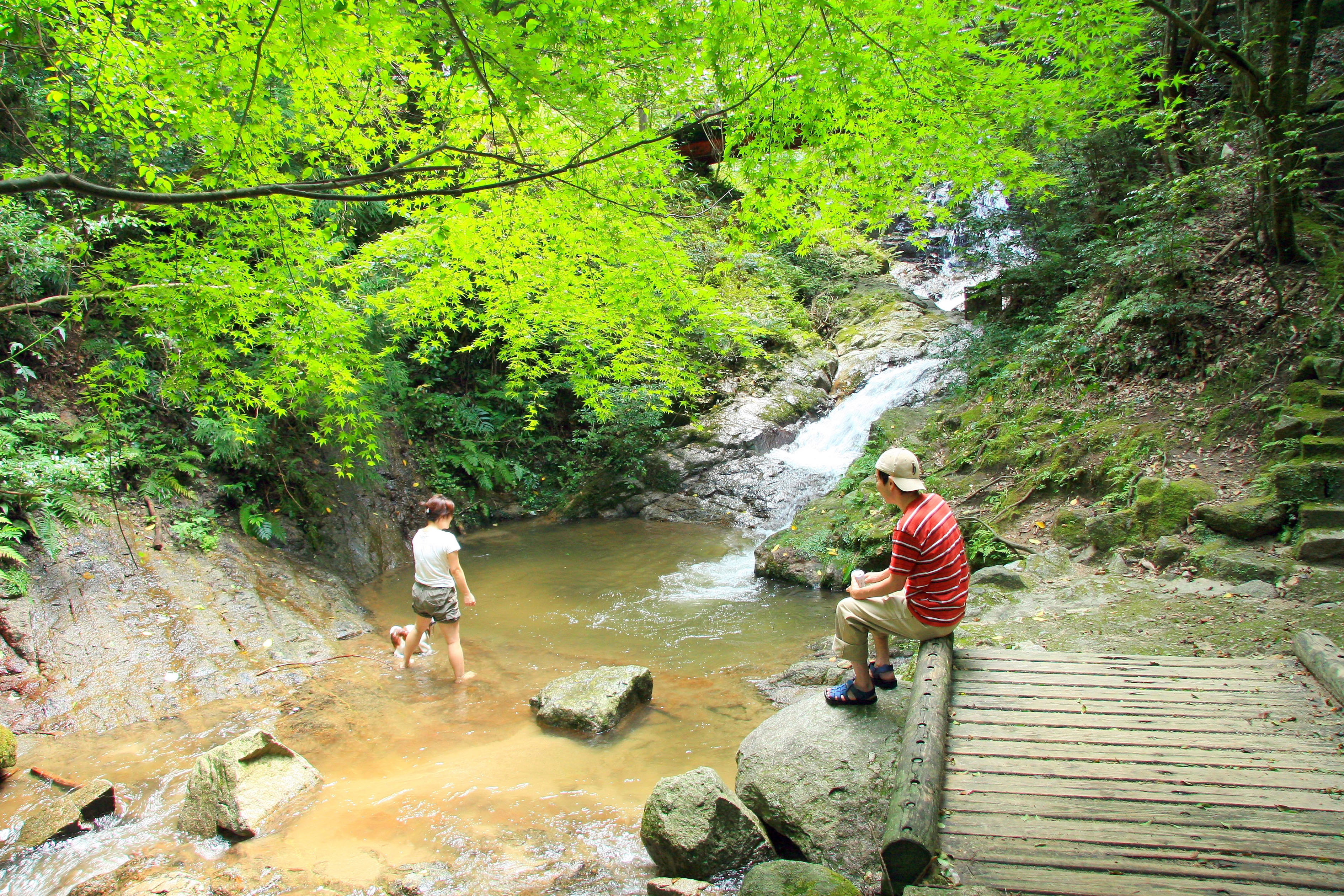 Abura-yama Shimin-no-Mori / Nature Observation Woods