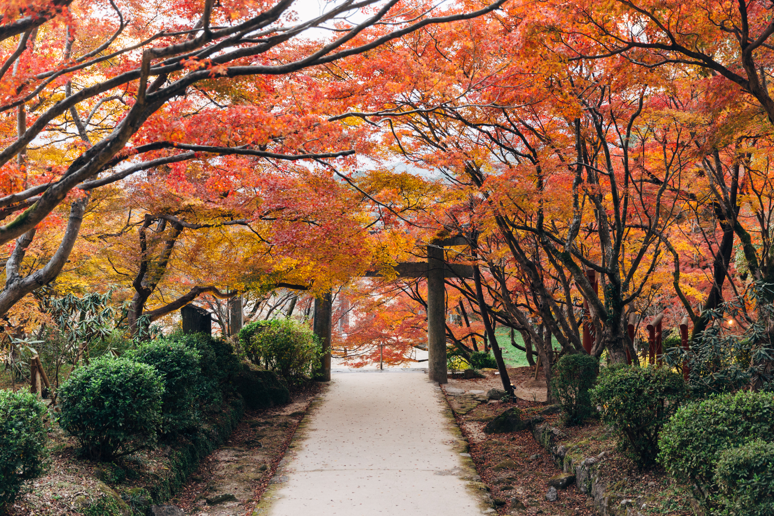 灶门神社