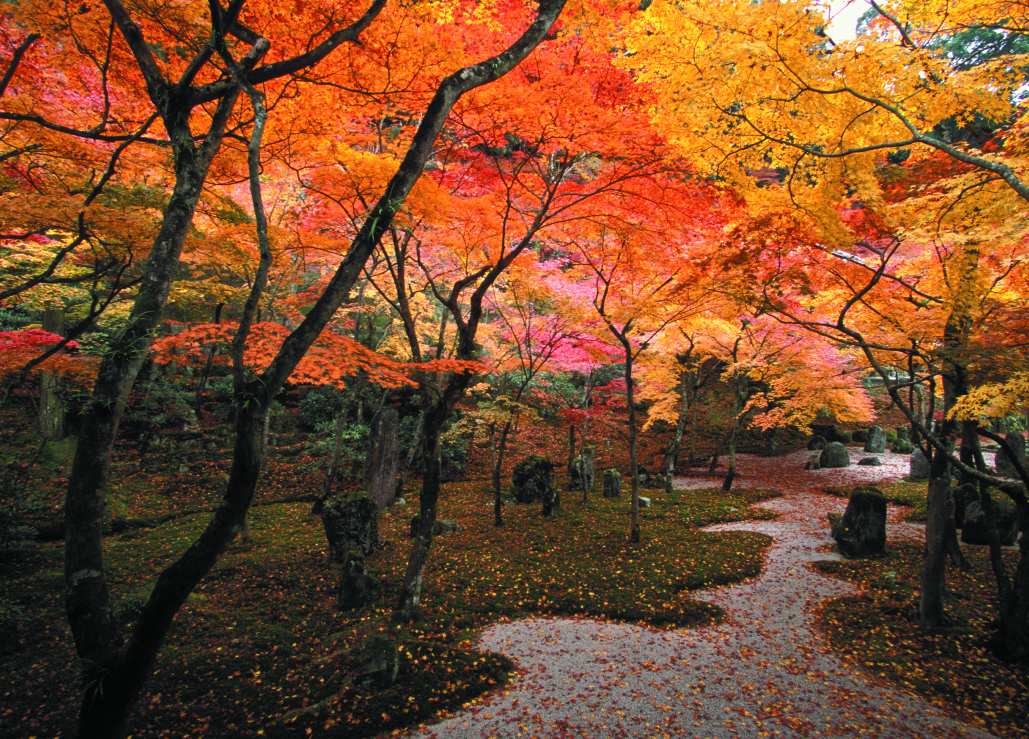 光明禪寺