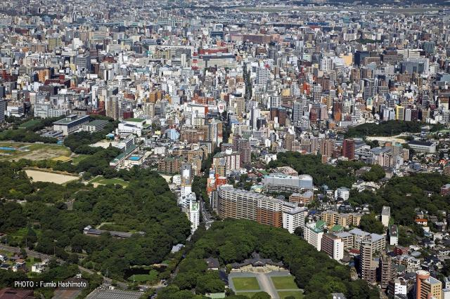 Keyaki  Dori Avenue