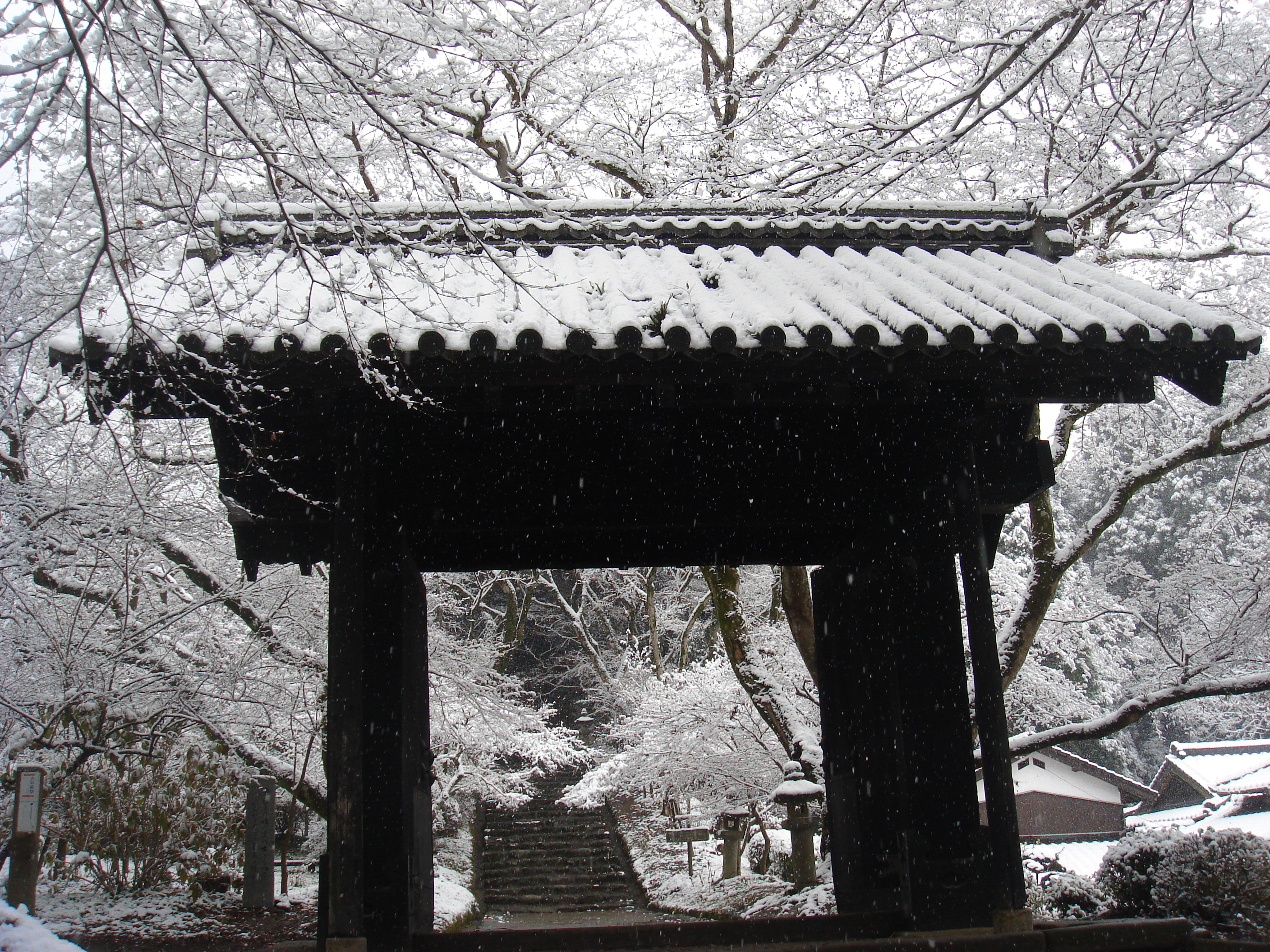 The Ruins of Akizuki Castle &amp; Akizuki Kuromon Gate